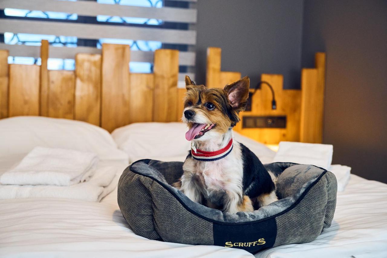 Wellness Hotel Liberecka Vysina 외부 사진